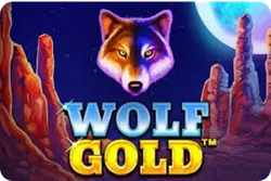Wolf Gold slot Pragmatic Play UK